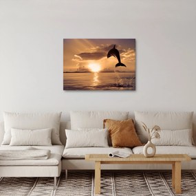 Tablou - Delfin la apus de soare (70x50 cm)