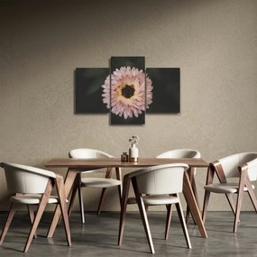 Tablou cu floare portocalie (90x60 cm)