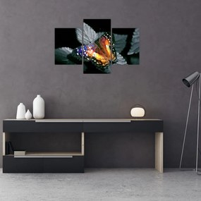 Tablou cu fluture (90x60 cm)