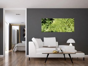 Tablou - Frunză de ferigă (120x50 cm)