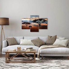 Tablou - Parcul Național Serengeti, Tanzania, Africa (90x60 cm)