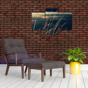 Tablou cu ierburi (90x60 cm)