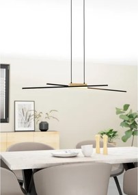 Lustră LED pe cablu dimabilă PANAGRIA 2xLED/13W/230V Eglo 900489