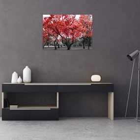 Tablou pe sticlă - Copacii roșii, Central Park, New York (70x50 cm)