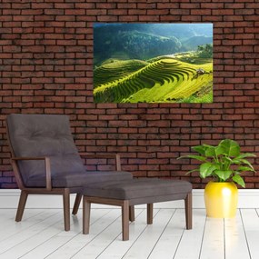 Tablou - Concert Terase de orez (90x60 cm)