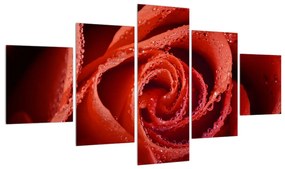 Tablou cu trandafirul roșu (125x70 cm), în 40 de alte dimensiuni noi