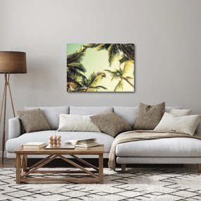 Tablou - Palmieri de cocos (70x50 cm)