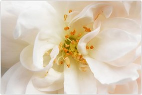 Tablou - Floare (90x60 cm)