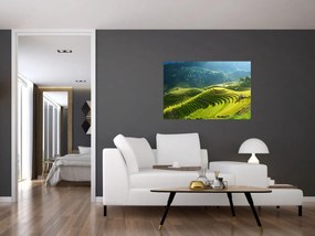 Tablou - Concert Terase de orez (90x60 cm)