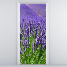 Fototapet pentru ușă - Lavandă (95x205cm)