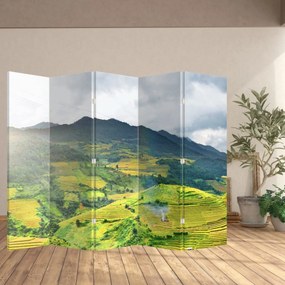 Paravan -Plantație (210x170 cm)