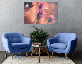 Tablou margarete roz delicate