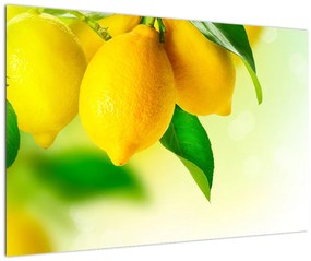 Tablou cu lămâi (90x60 cm)