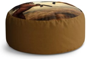 Taburet Circle cai cabrați, maro