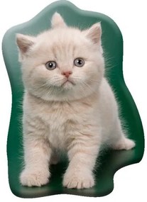 Pisică Creamy Whiskers pernă decorativă modelată 40x32 cm Catifea