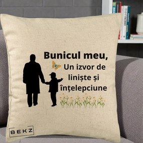 Cadou pentru Bunic - Perna Personalizata Bunicul Meu Izvor de Liniste cu Fluture si Baietel, 40x40 cm, Bej, Husa Detasabila, Perna Inclusa, BEKZ®
