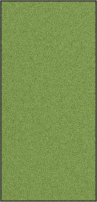 vidaXL Covoraș de intrare Verde și Negru 120 x 250 cm Poliamidă și PVC