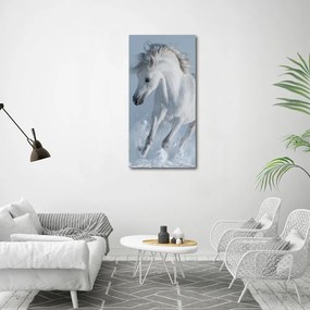 Tablou pe pânză canvas Cal alb în galop