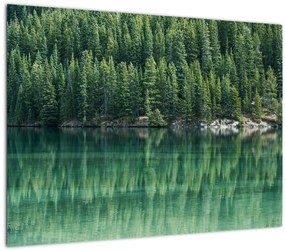 Tablou - Coniferi lângă lac (70x50 cm)