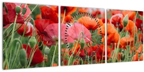Tablou din câmp cu maci (cu ceas) (90x30 cm)