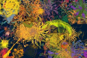 Tapet artă abstractă colorată