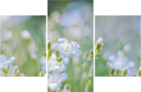 Tablou - Flori delicate (90x60 cm)