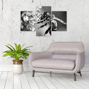Tablou - Detaliu de albină (90x60 cm)