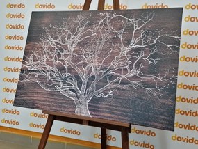 Tablou coroană de copac pe fundal de lemn
