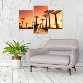 Tablou - Apus de soare pe Aleea Baobabilor (90x60 cm)