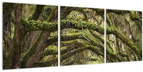 Tablou - Oaks Avenue, Charleston, Carolina de Sud, SUA (cu ceas) (90x30 cm)