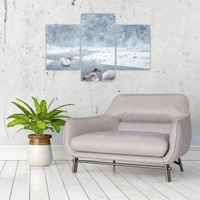 Tablou cu lebăde (90x60 cm)