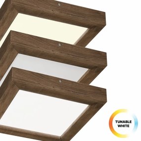Plafonieră LED dimabilă Brilagi WOODY FRAME LED/24W/230V stejar 30x30 cm IP44 + telecomandă