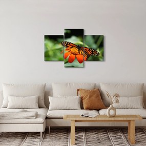 Tablou cu fluture pe floare (90x60 cm)