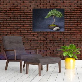 Tablou pe sticlă - Bonsai (70x50 cm)
