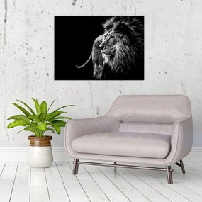 Tablou - Leu (70x50 cm)