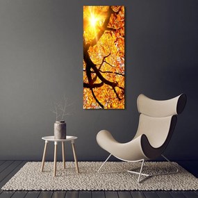 Tablou pe pânză canvas Toamna copac
