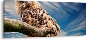 Tablou cu bufnița (120x50 cm)