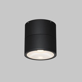 Spot LED rotativ pentru exterior IP54 Spin grafit