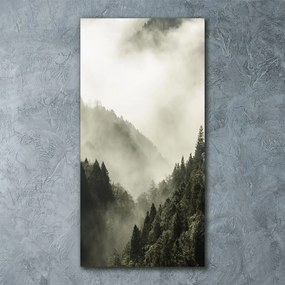 Tablou sticlă Ceață peste pădure