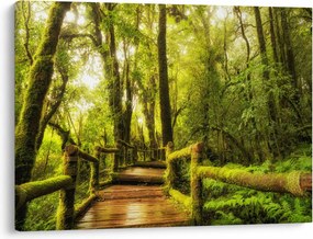 Tablou junglei cu mușchi (70x50 cm)