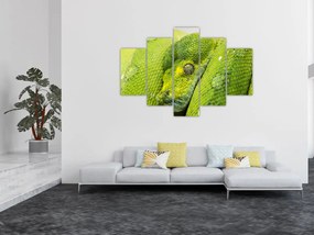 Tablou cu șarpe (150x105 cm)