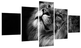 Tablou albnegrucu leu (125x70 cm), în 40 de alte dimensiuni noi