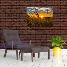Tablou cu câmp în apus de soare (70x50 cm)