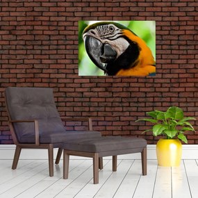 Tablou pe sticlă cu papagal (70x50 cm)