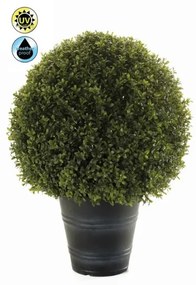 Plante de exterior - Boxwood ball UV - 68 cm