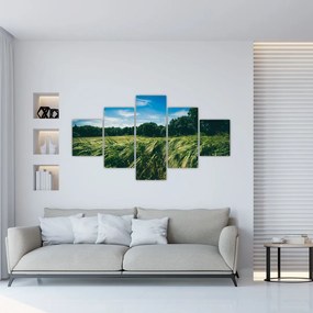 Tablou cu linca și pădure (125x70 cm), în 40 de alte dimensiuni noi