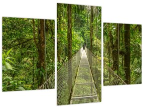 Tablou - Pod suspendat (90x60 cm)