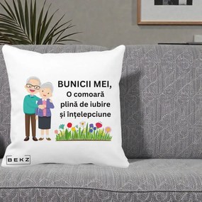 Cadou pentru Bunici - Perna Personalizata Bunicii Mei Comoara Cuplu Senior cu Flori Colorat, 40x40 cm, Alba Mata, Husa Detasabila, Perna Inclusa, BEKZ®