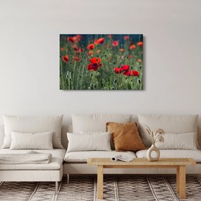 Tablou - Lunca cu maci (90x60 cm)