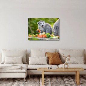 Tablou pe sticlă cu lemur (70x50 cm)